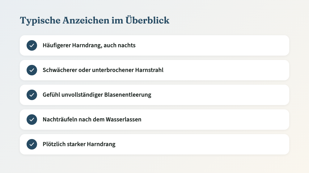Übersicht typischer Anzeichen einer vergrößerten Prostata